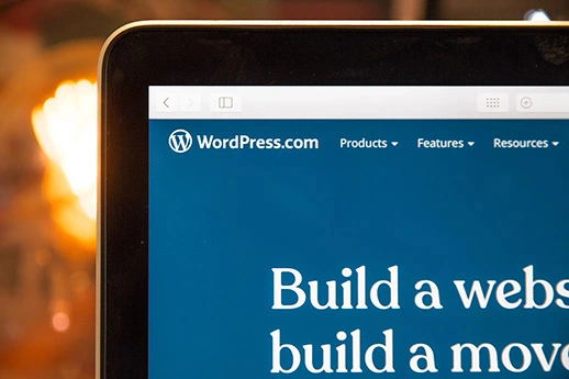 Wordpress web development